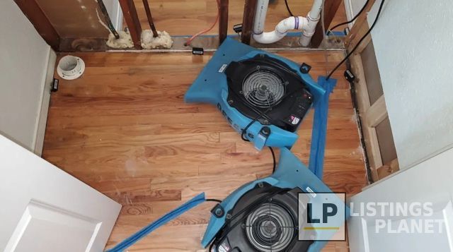 Dry Force Water Removal Specialists