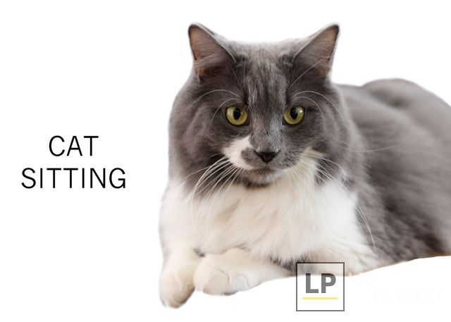 V.I.C. Pet Care