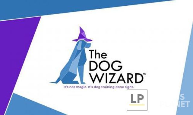 The Dog Wizard DC