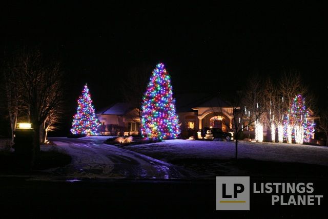 Diggable Designs Landscape Construction