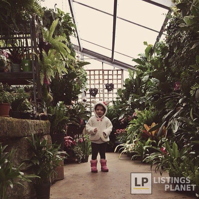 Oakland Nursery