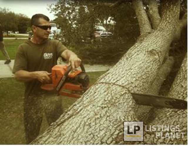 Rite Guys Tree Service