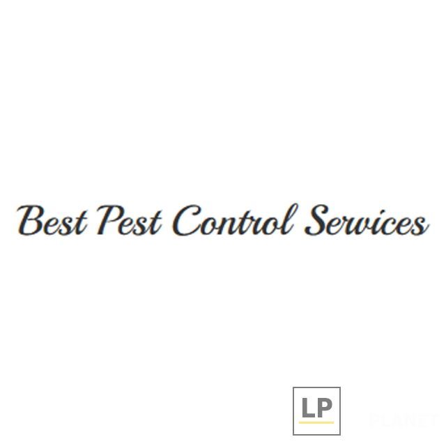 Best Pest Control Services