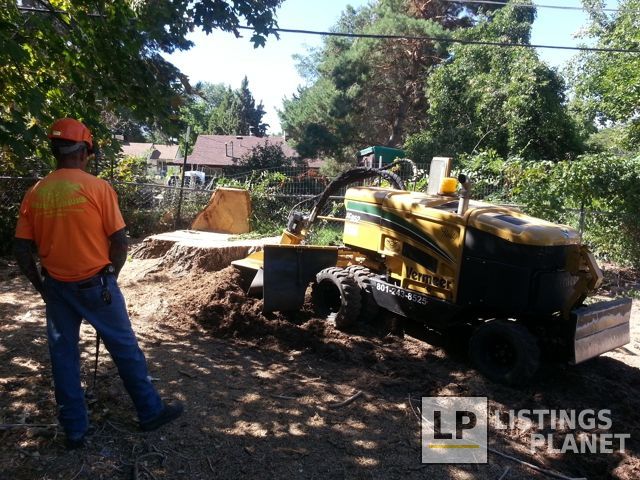 Steve's Stump Grinding