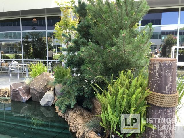 Interior Plant Design