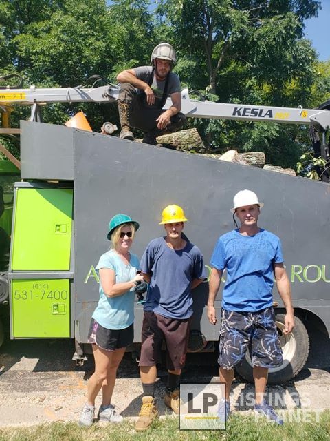 Arborist Care Tree Service