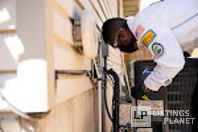 Whipple Service Champions