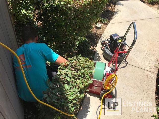 Colepepper Plumbing