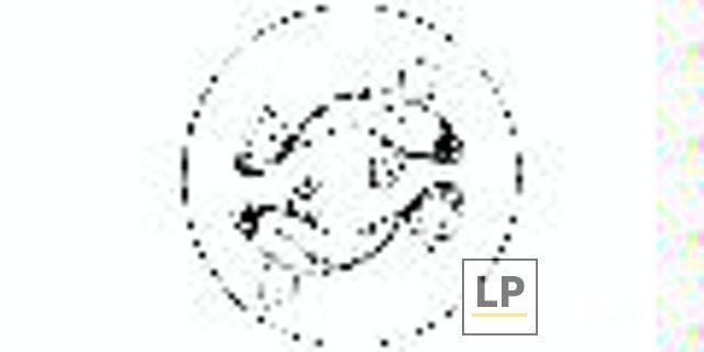 Pisces Pools, Inc.